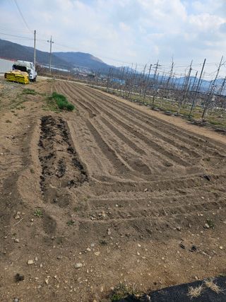 봉좌산님의 기타작물 · 영농일지 작성글 사진