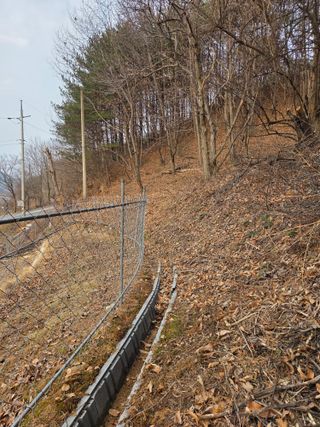 윤장원님의 기타작물 · 영농일지 작성글 사진