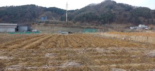 남궁봉님의 콩 · 영농일지 작성글 사진