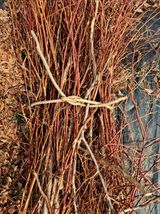 황인근님의 작성글 사진