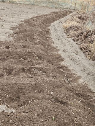 김해열님의 감자 · 영농일지 작성글 사진