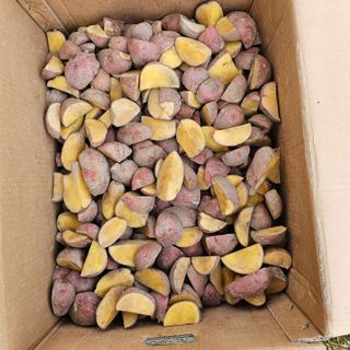 곽희동님의 감자 · 영농일지 작성글 사진