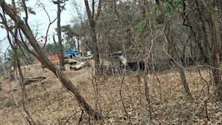 수기님의 두릅 · 영농일지 작성글 사진