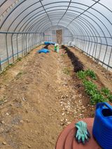 팜모닝 기타작물·영농일지 게시글 이미지