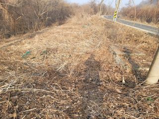 신승철님의 기타작물 · 영농일지 작성글 사진