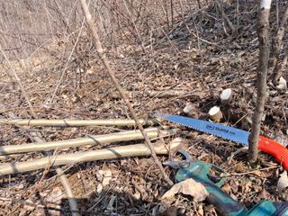 엄순모사선대농장님의 감 · 영농일지 작성글 사진