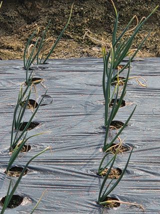 백현호님의 작성글 사진