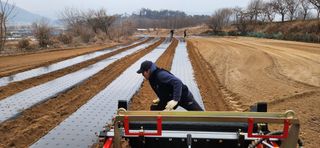 조성현님의 감자 · 영농일지 작성글 사진