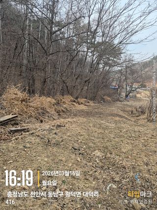 매실21434님의 감자 · 영농일지 작성글 사진