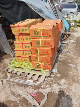 신건학님의 기타작물 · 영농일지 작성글 사진