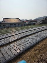 백현호님의 작성글 사진