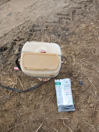 자기왕사랑해님의 두릅 · 영농일지 작성글 사진