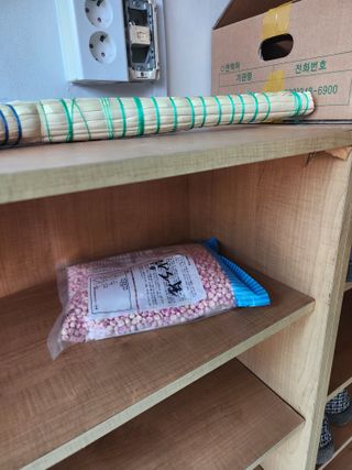 강촌지기님의 옥수수 · 영농일지 작성글 사진