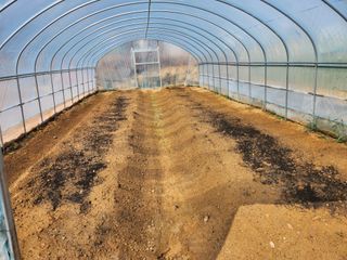 노복우님의 고추 · 영농일지 작성글 사진