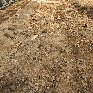 유원준님의 고추 · 영농일지 작성글 사진