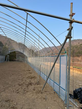 이익수님의 사과 · 영농일지 작성글 사진