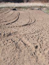 팜모닝 기타작물·영농일지 게시글 이미지