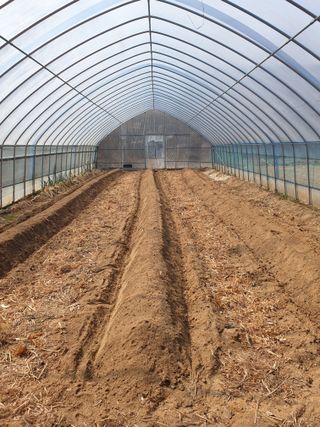 샤이니바다님의 기타작물 · 영농일지 작성글 사진