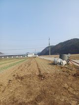 전원수님의 작성글 사진