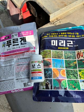 님의 포도 · 영농일지 작성글 사진
