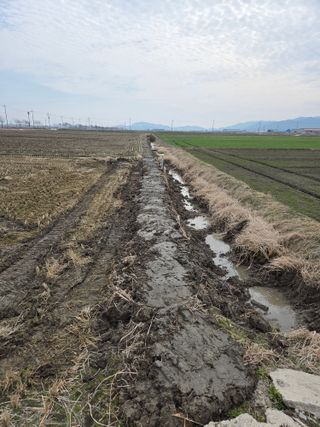 파인cool님의 벼 · 영농일지 작성글 사진