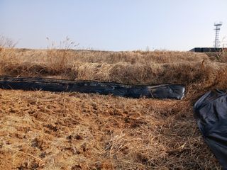 백경철님의 벼 · 영농일지 작성글 사진