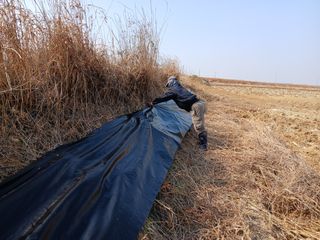 백경철님의 벼 · 영농일지 작성글 사진