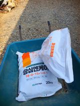 팜모닝 마늘·영농일지 게시글 이미지