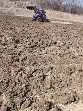 좋은인연원님의 감자 · 영농일지 작성글 사진