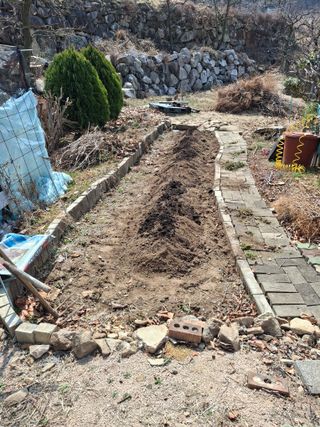 헤이쥬회원님의 기타작물 · 영농일지 작성글 사진