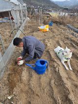 팜모닝 기타작물·영농일지 게시글 이미지