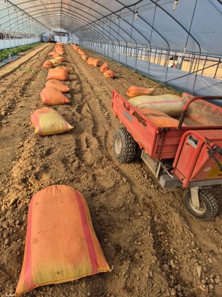 농민님의 기타작물 · 영농일지 작성글 사진