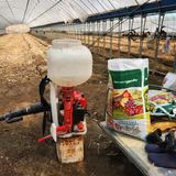 팜모닝 고추·영농일지 게시글 이미지