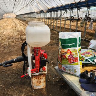 유원준님의 고추 · 영농일지 작성글 사진