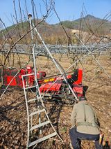 조영민님의 작성글 사진