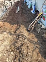 팜모닝 감자·영농일지 게시글 이미지