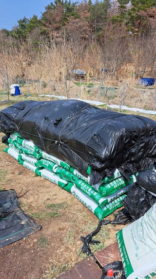 주윤발이님의 복숭아 · 영농일지 작성글 사진