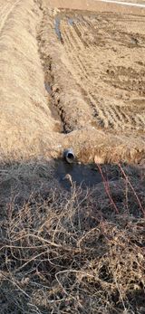 이복길님의 작성글 사진