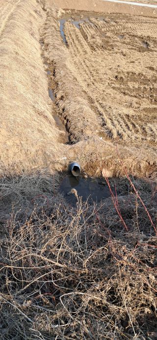 이복길님의 벼 · 영농일지 작성글 사진