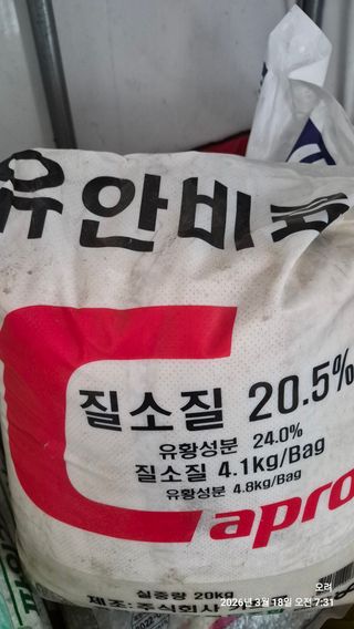 토마토11823님의 마늘 · 영농일지 작성글 사진