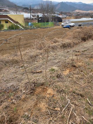 정민지호맘님의 기타작물 · 영농일지 작성글 사진