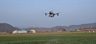 구춘봉님의 마늘 · 영농일지 작성글 사진