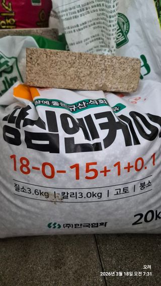 토마토11823님의 마늘 · 영농일지 작성글 사진