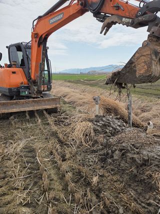 파인cool님의 벼 · 영농일지 작성글 사진