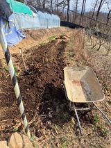 팜모닝 기타작물·영농일지 게시글 이미지