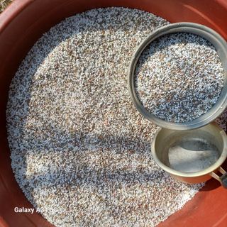 삼성농산님의 마늘 · 영농일지 작성글 사진