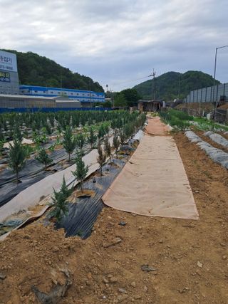 김용갑님의 기타작물 · 영농일지 작성글 사진