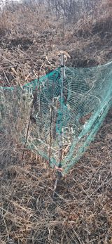 팜모닝 벼·영농일지 게시글 이미지