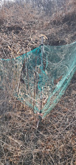 이복길님의 벼 · 영농일지 작성글 사진