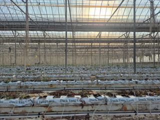 늘햇살팜 님의 기타작물 · 영농일지 작성글 사진